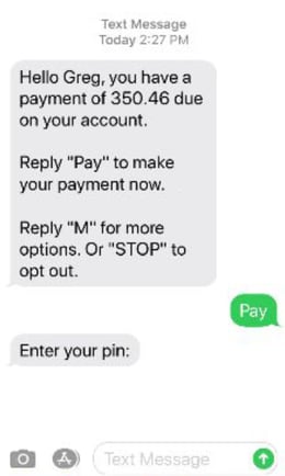 00_MessagePay_Text