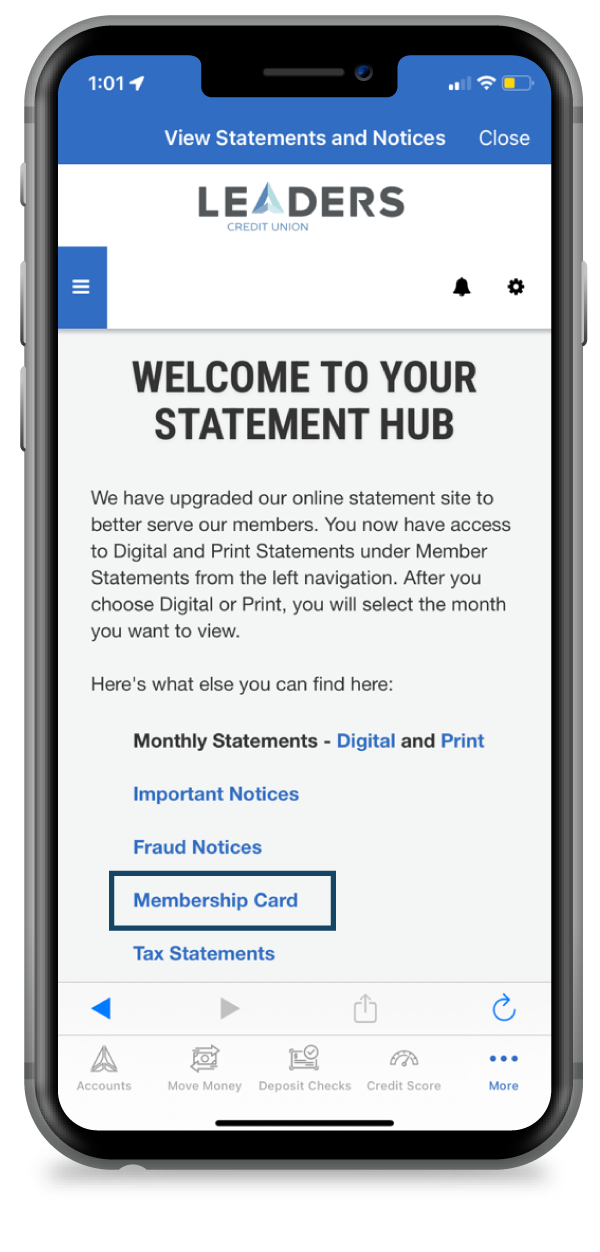 Mobile-App-iPhone-Statement-Hub-600
